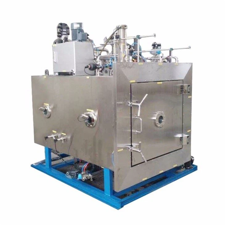 Small Freeze Dryer With 50kg Capacity Fruit Drying Machine Lyophilizer