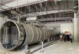 Industrijska zamrzivača za sušenje limunske kiseline